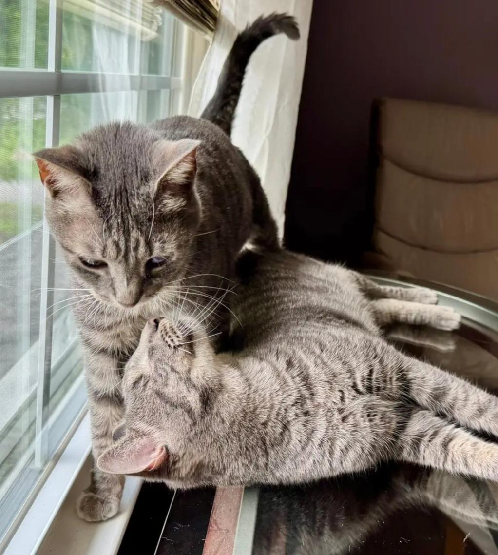 A FINAL WISH: Opal & Oliver (Bonded)