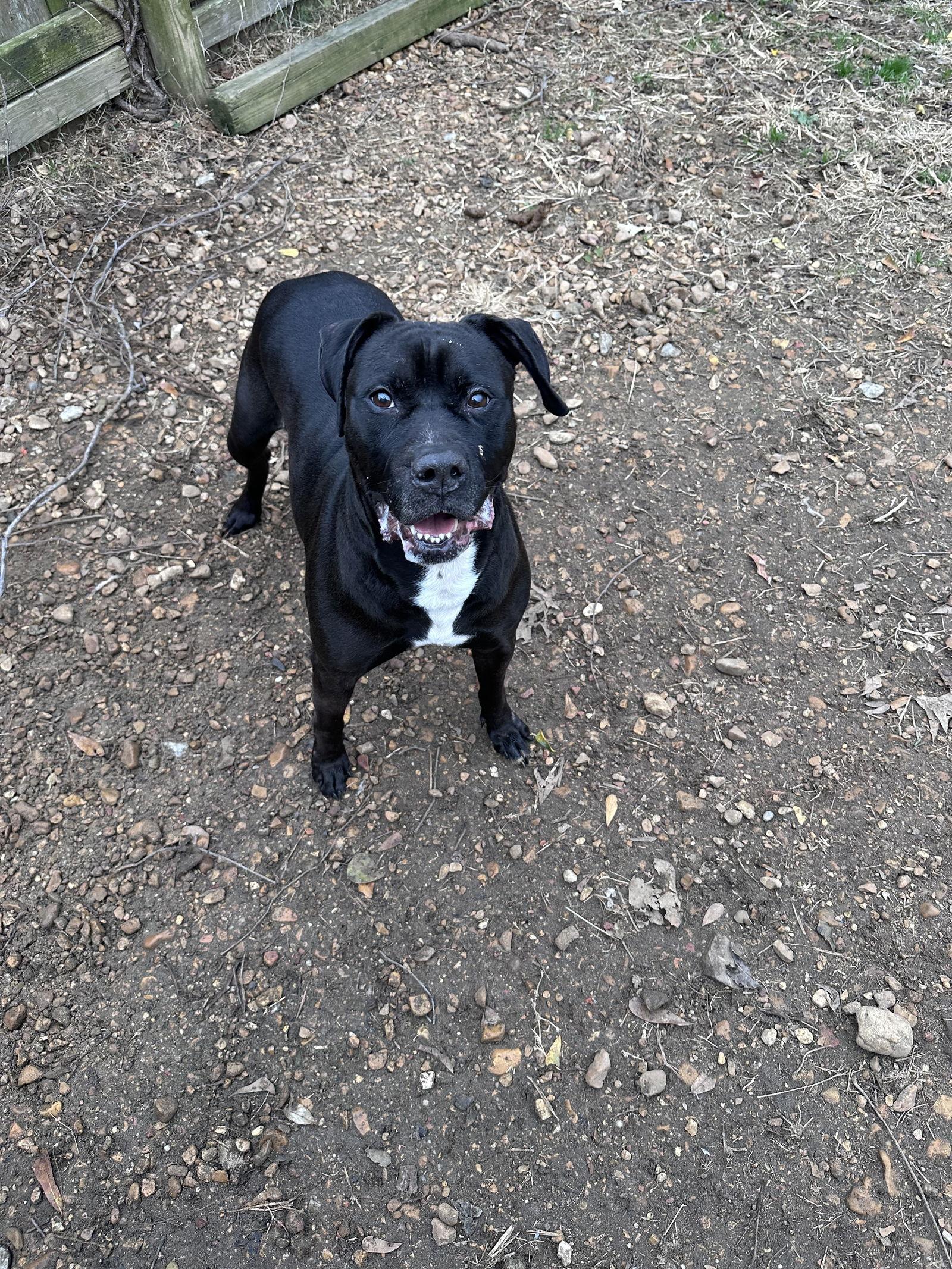 Yasmin — thumbnail 2