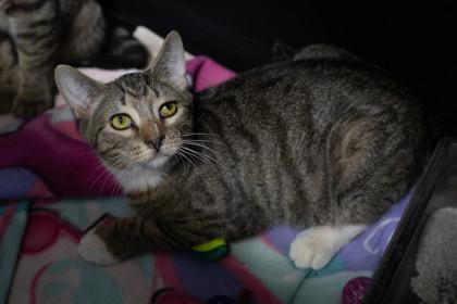 Jelly — thumbnail 2