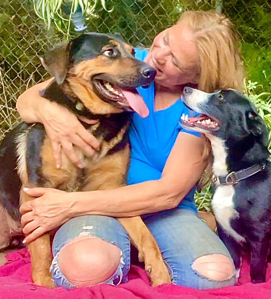 Mama Bear-Video, Adoptable, Young Female Rottweiler & German Shepherd Dog.