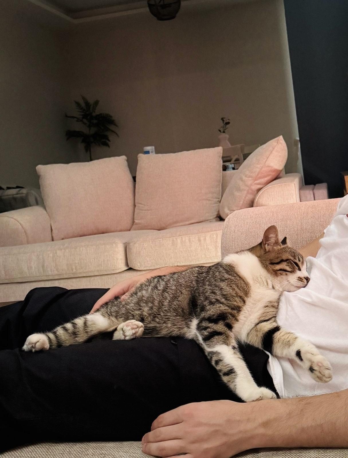Storm, The Cuddle Shower King