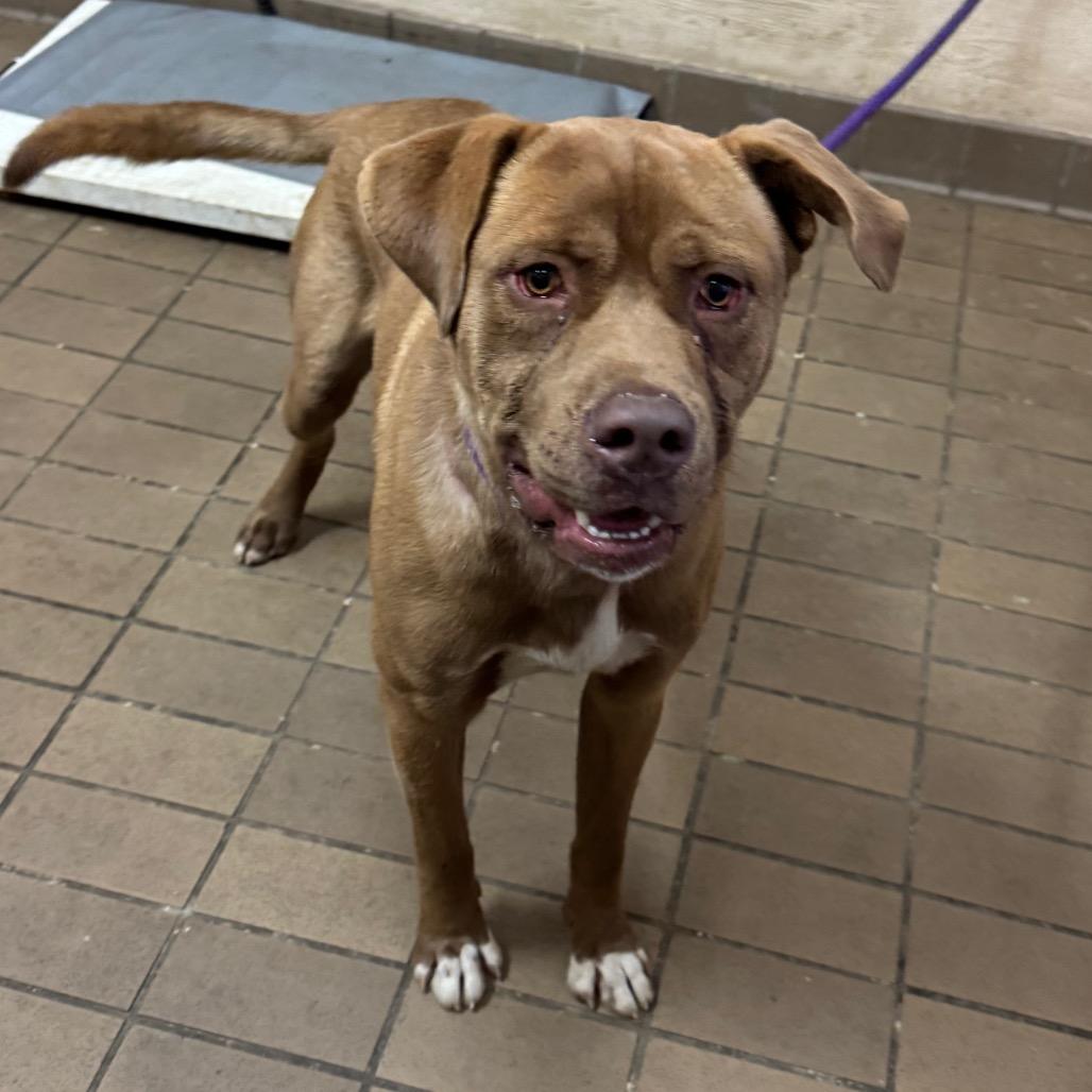 Oakley — thumbnail 2