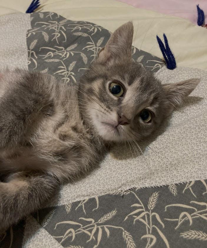 Theodore