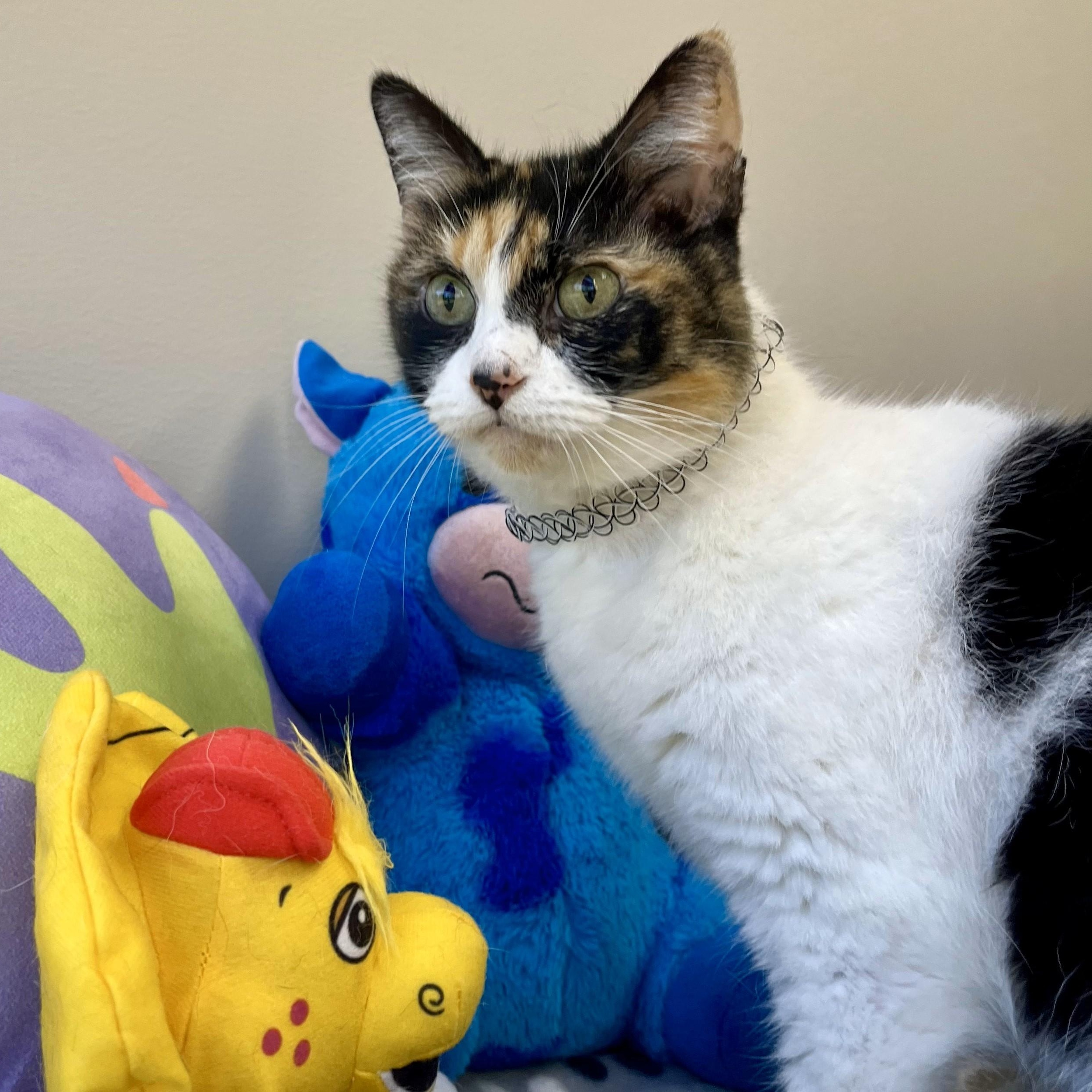 Earthquake — thumbnail 3