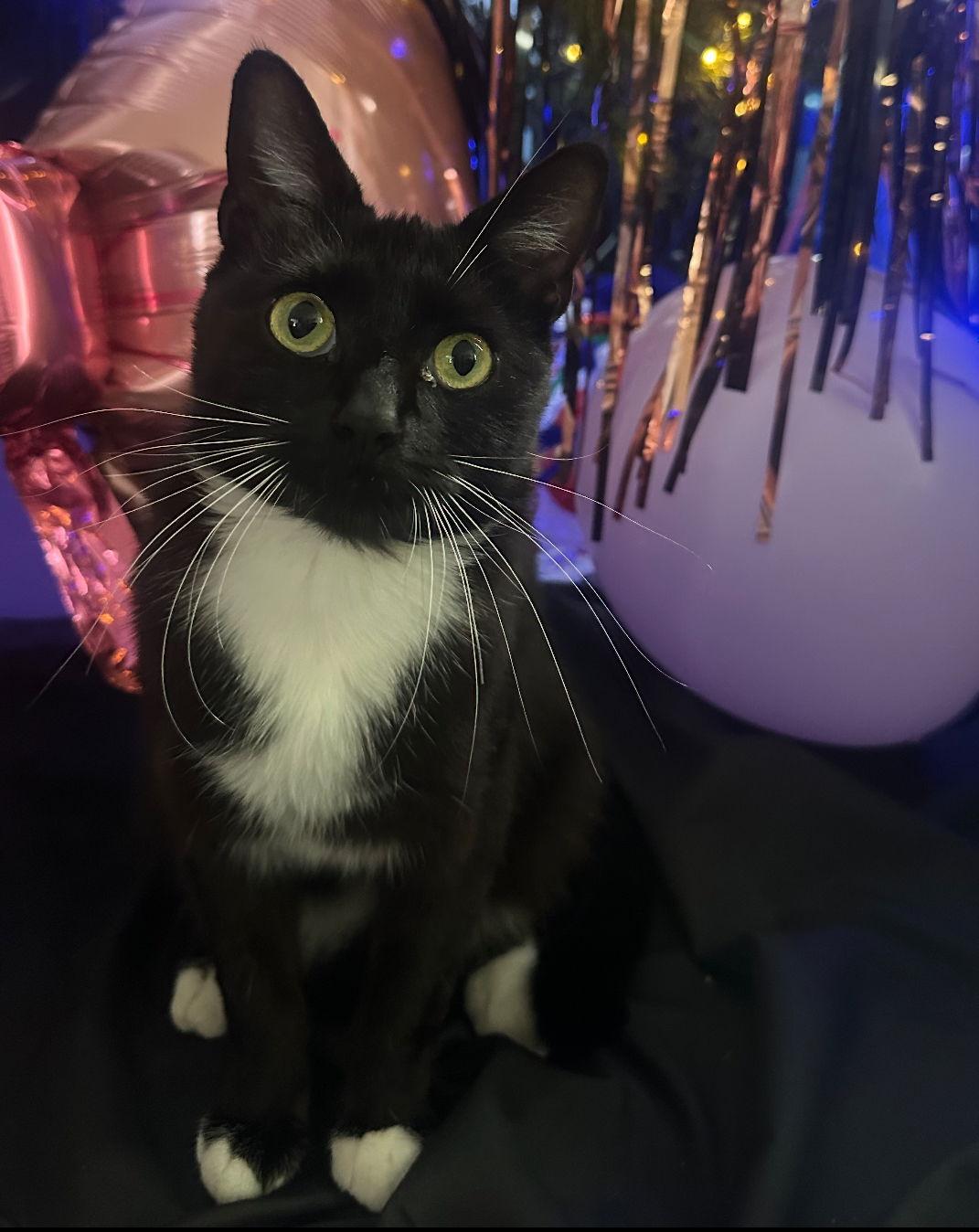 Wednesday 2 — thumbnail 2