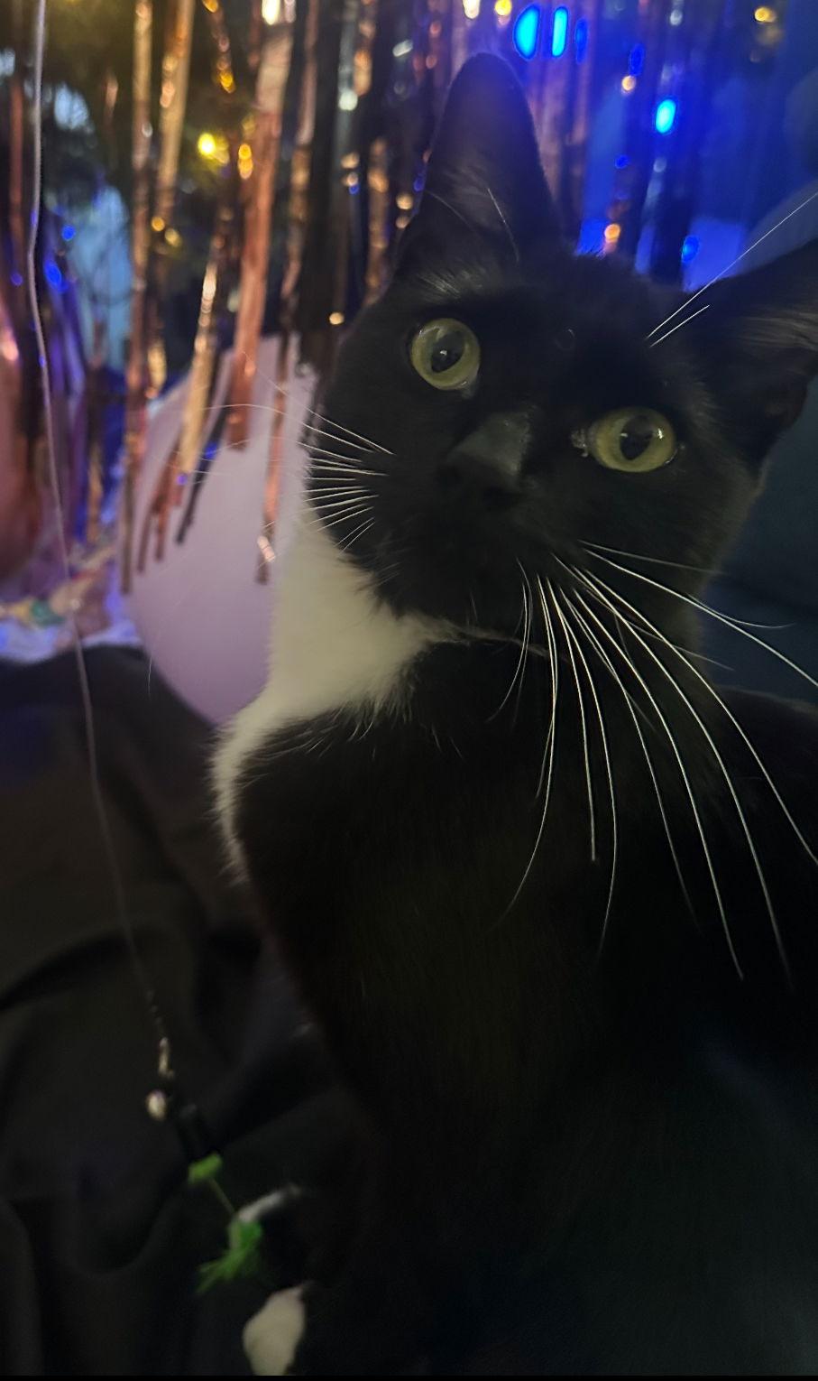 Wednesday 2 — thumbnail 3