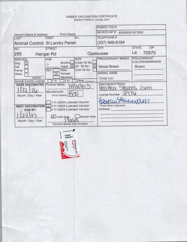 Enlarge Cindy Lou (#5), a Adoptable mixed breed in Opelousas, LA image 2/4