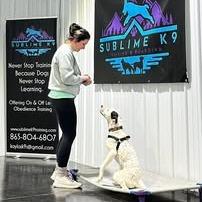 Lucy, a Adoptable mixed breed in Jefferson city, TN image 3/6