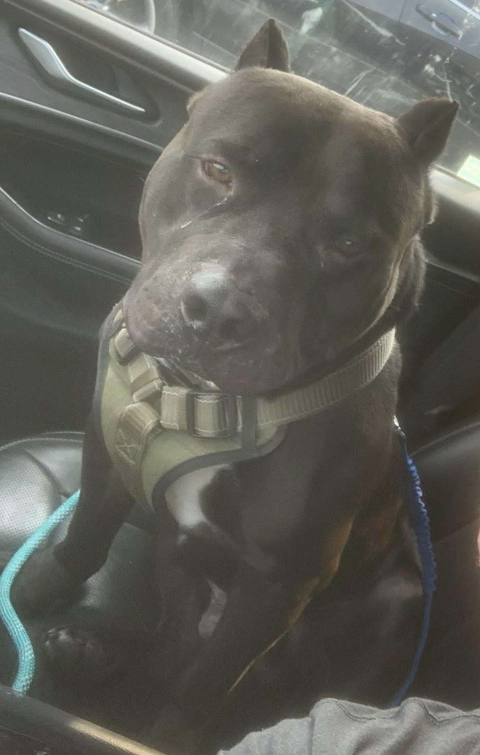 Titus