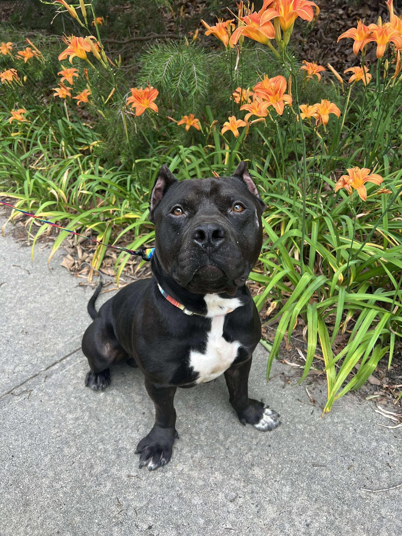 Titus