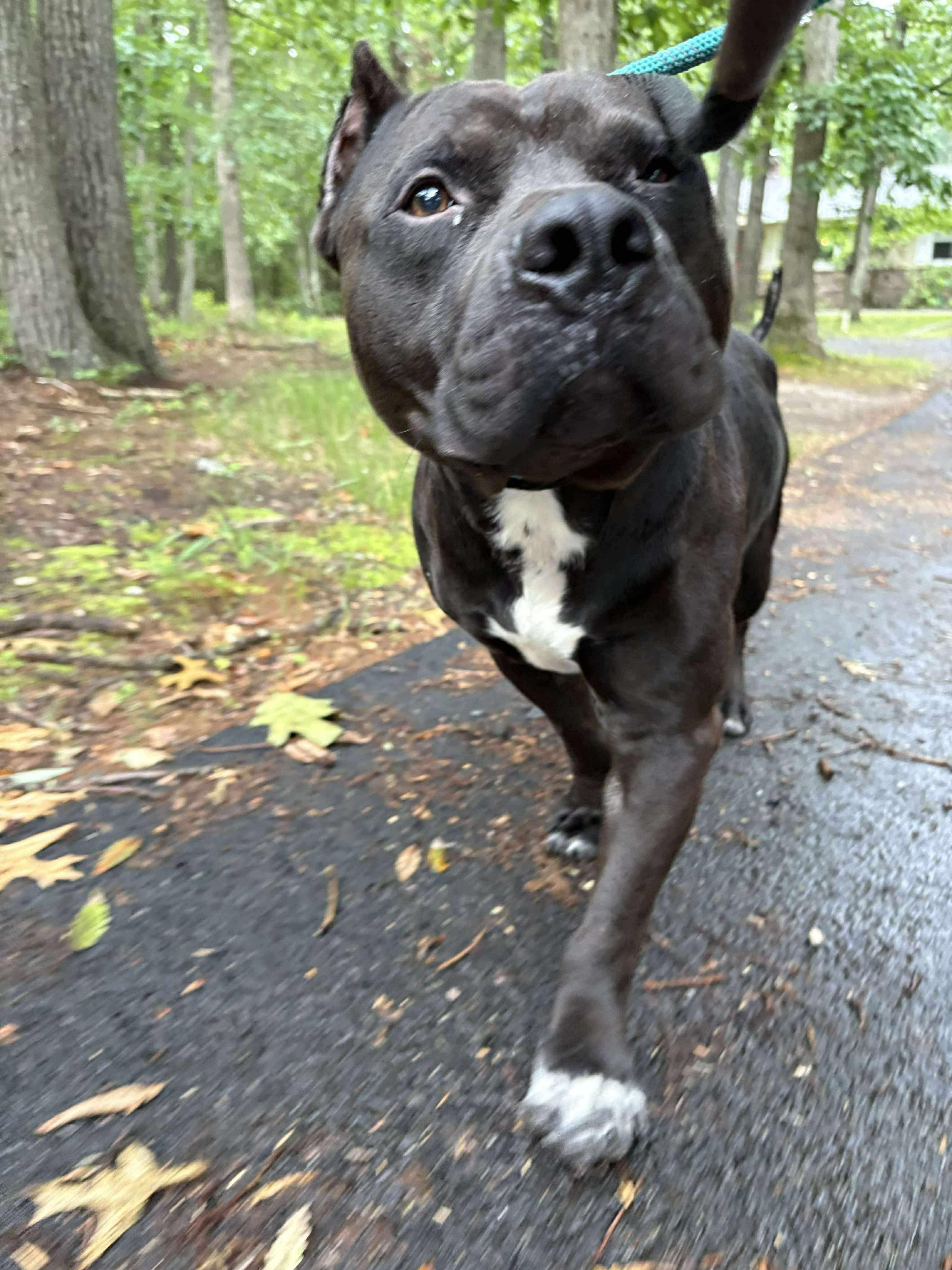 Titus