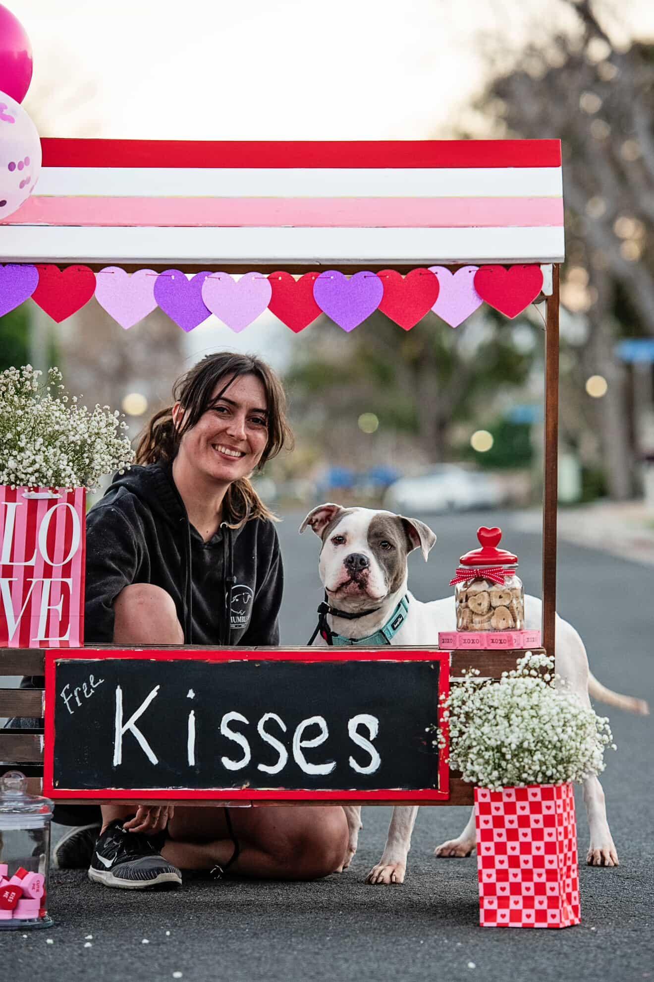 Enlarge Lacey , a ADOPTABLE mixed breed in Concord, CA image 1/5