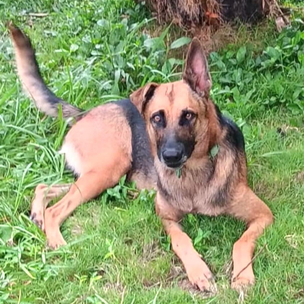 Bruno Uno "your Number