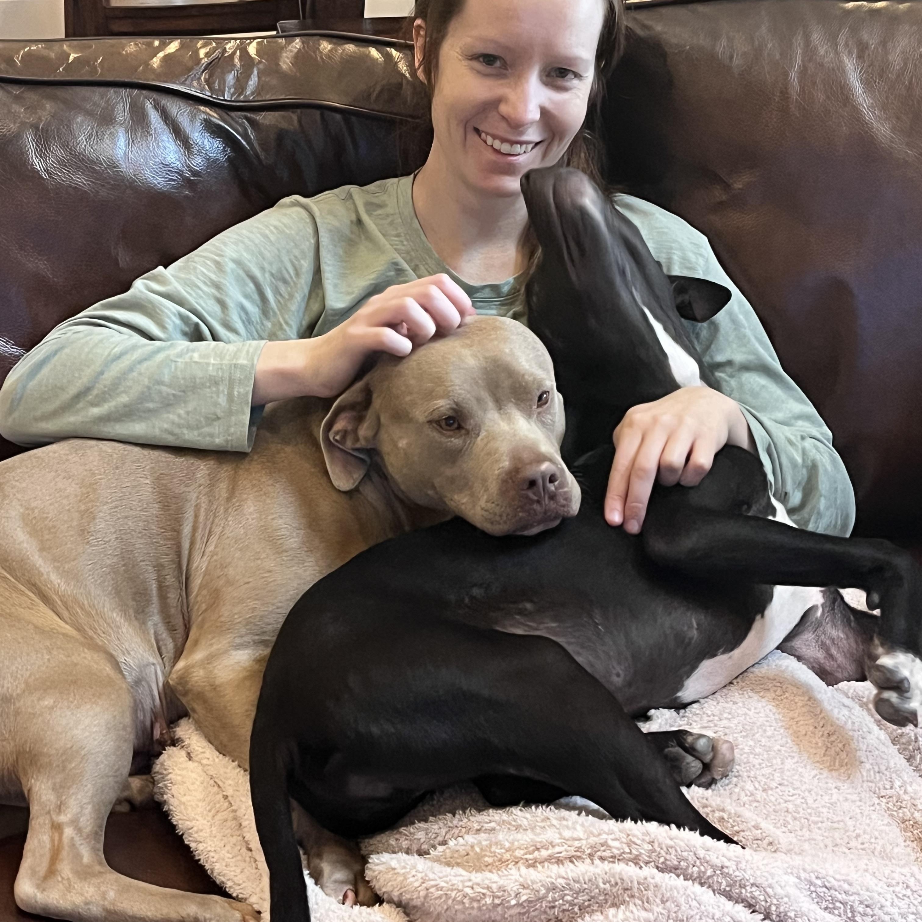 Jellybean — thumbnail 5