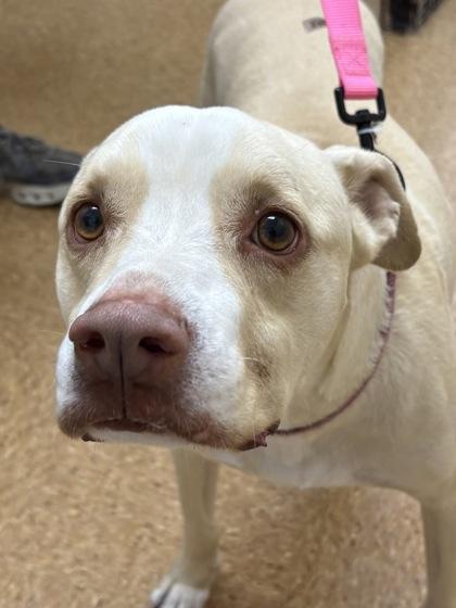 Nicholas — thumbnail 2