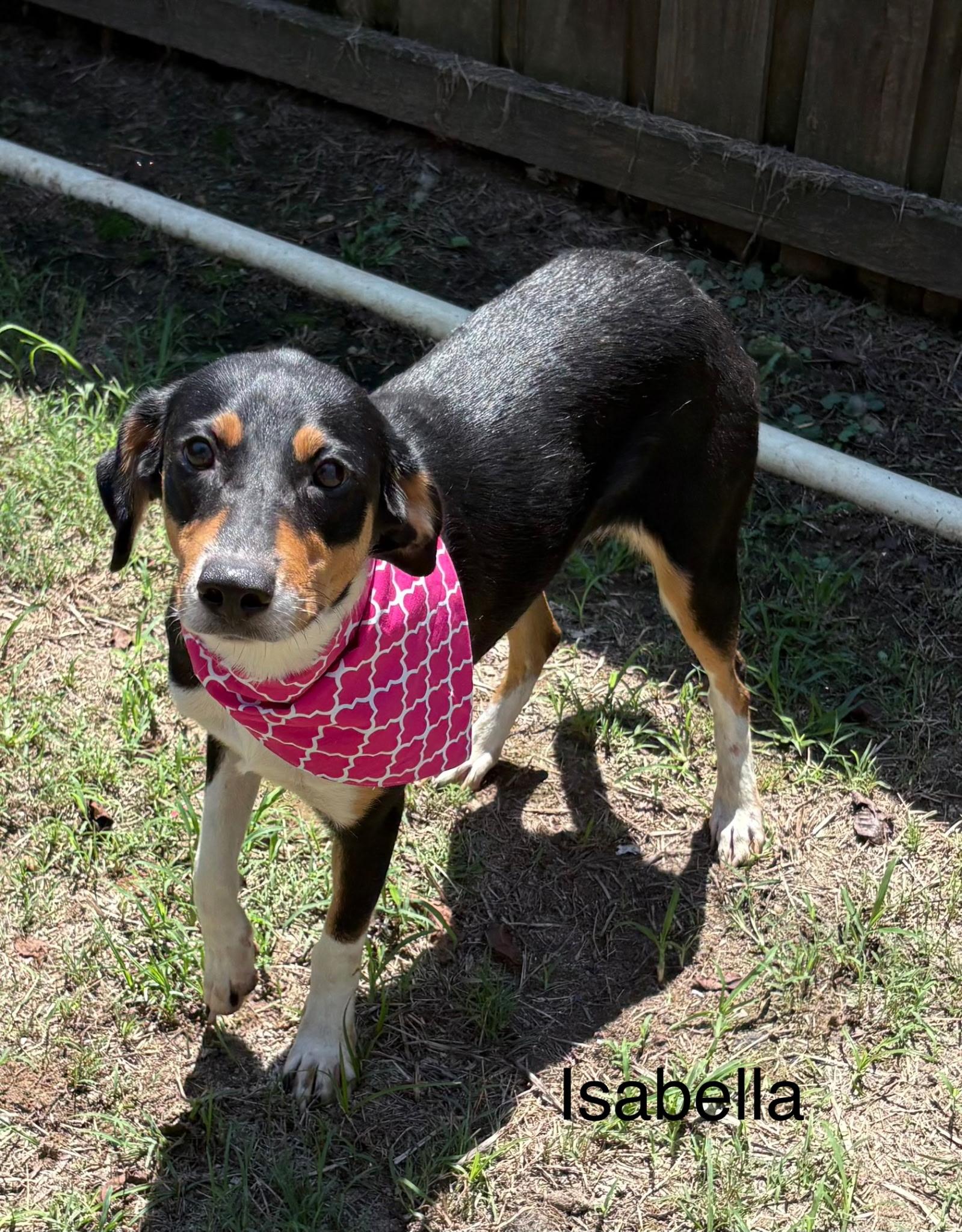 Isabella
