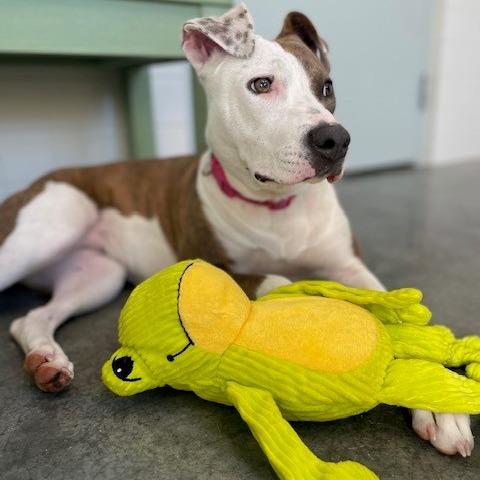 Precious thumbnail 4