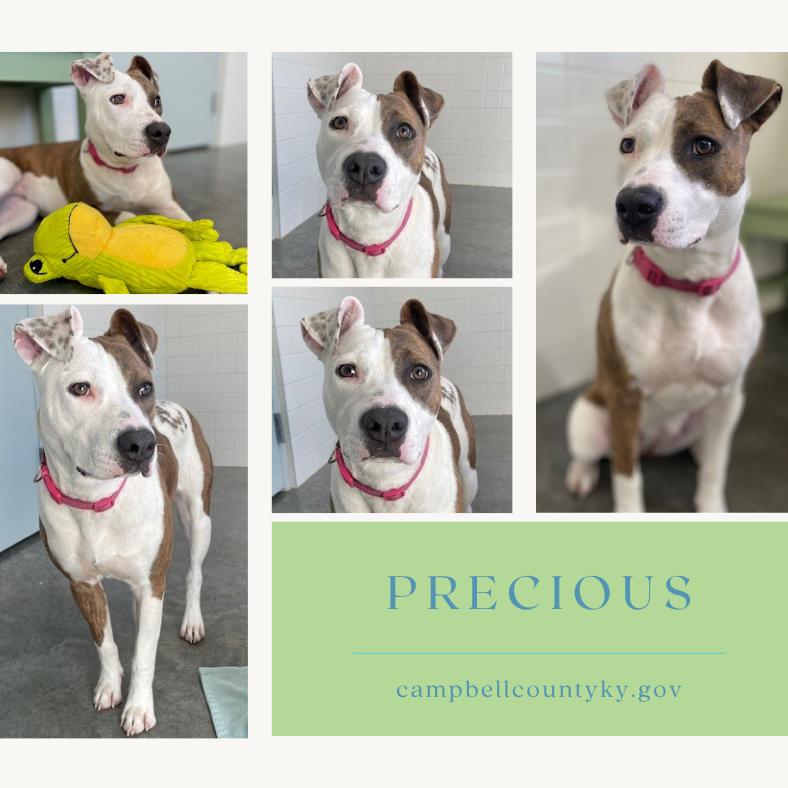 Precious thumbnail 7