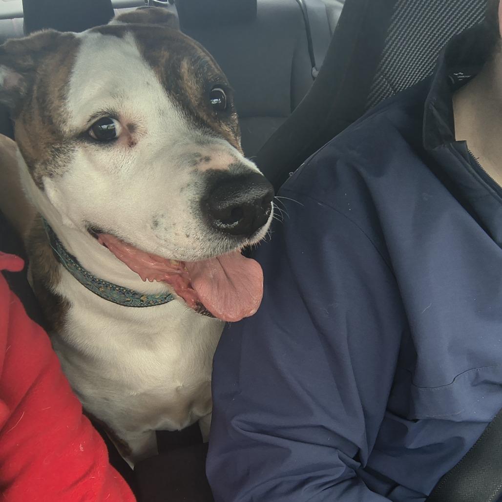 Penny — thumbnail 2