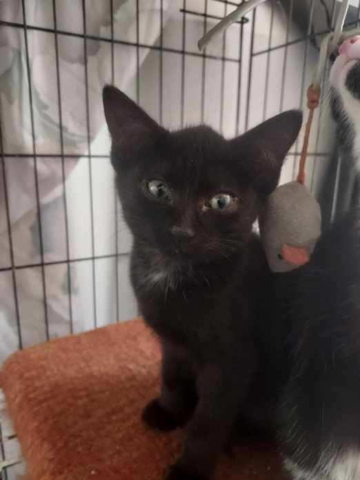 Smudge 0125