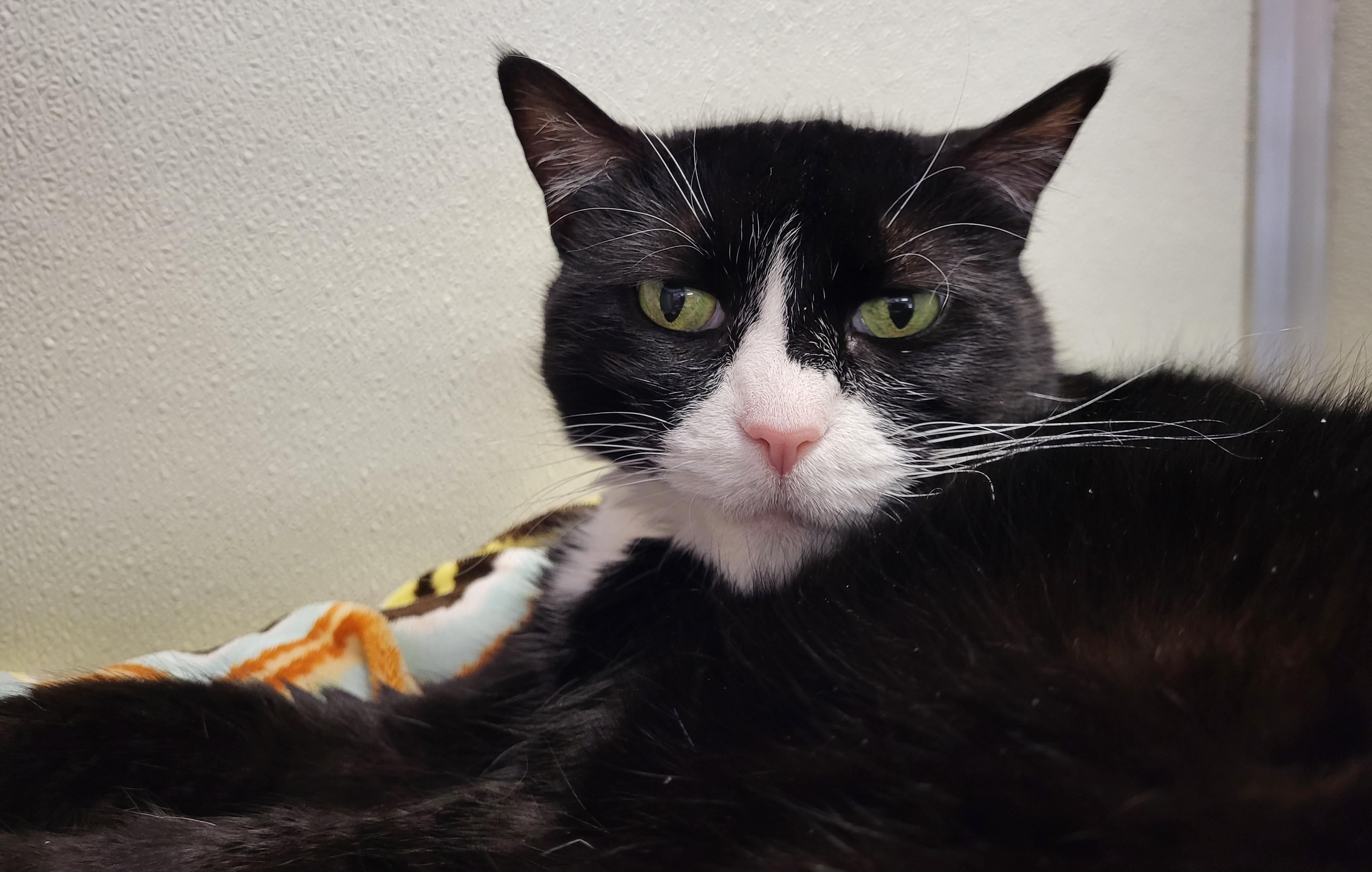 Dagny — thumbnail 2