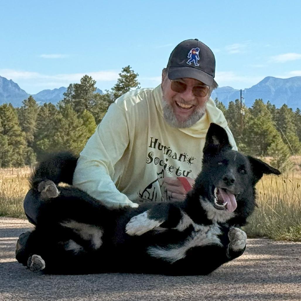DARRELL, a Adoptable mixed breed in Pagosa Springs, CO image 3/3
