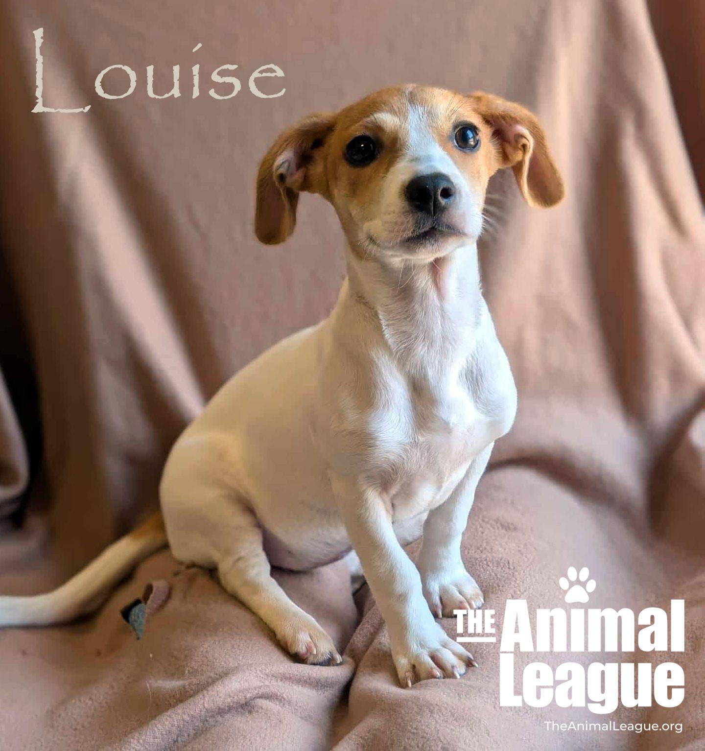 Louise