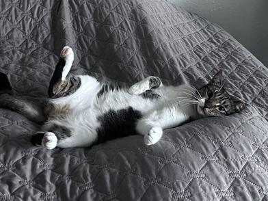 Susie — thumbnail 5