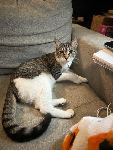 Evie photo 2