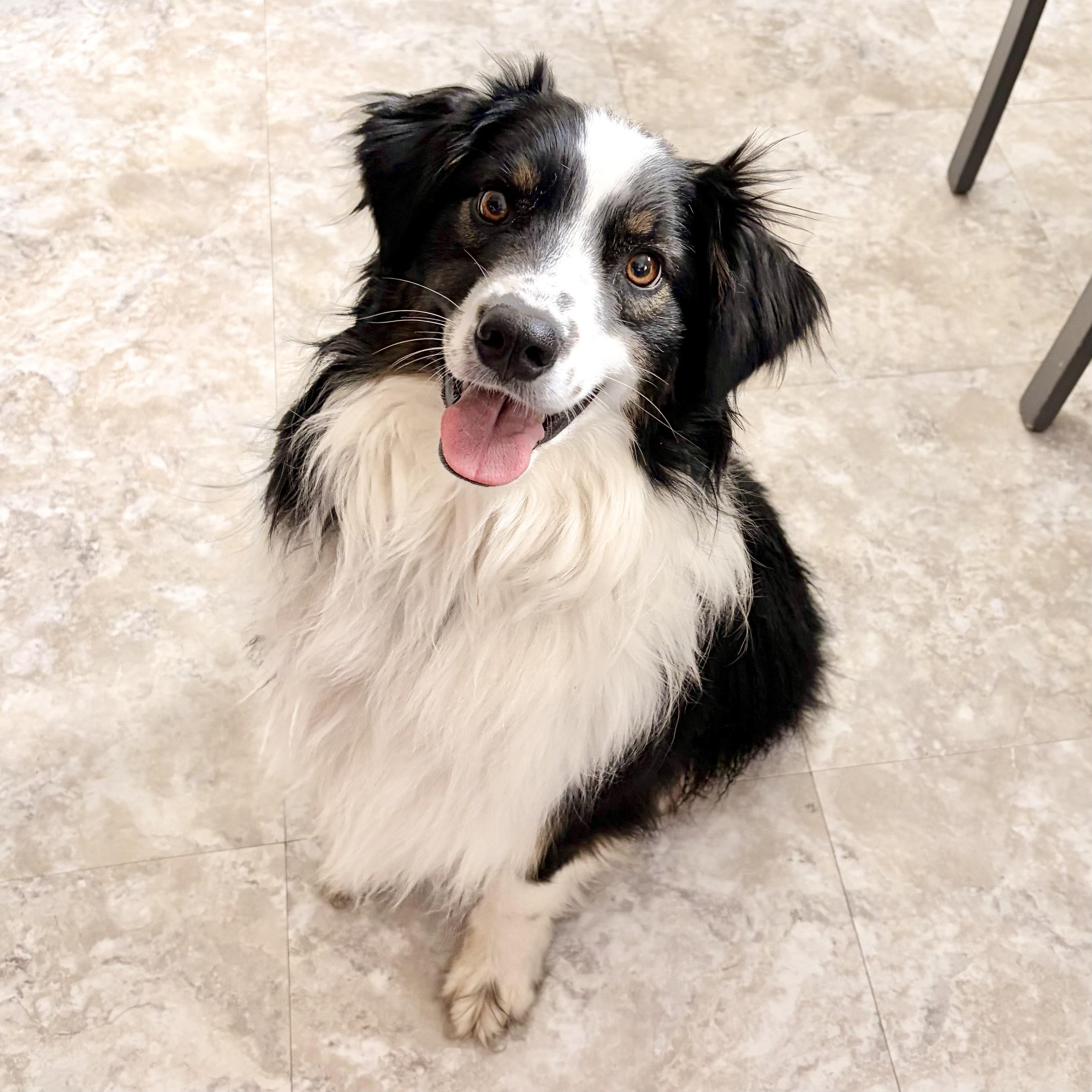 Great Barrier Reef — thumbnail 2