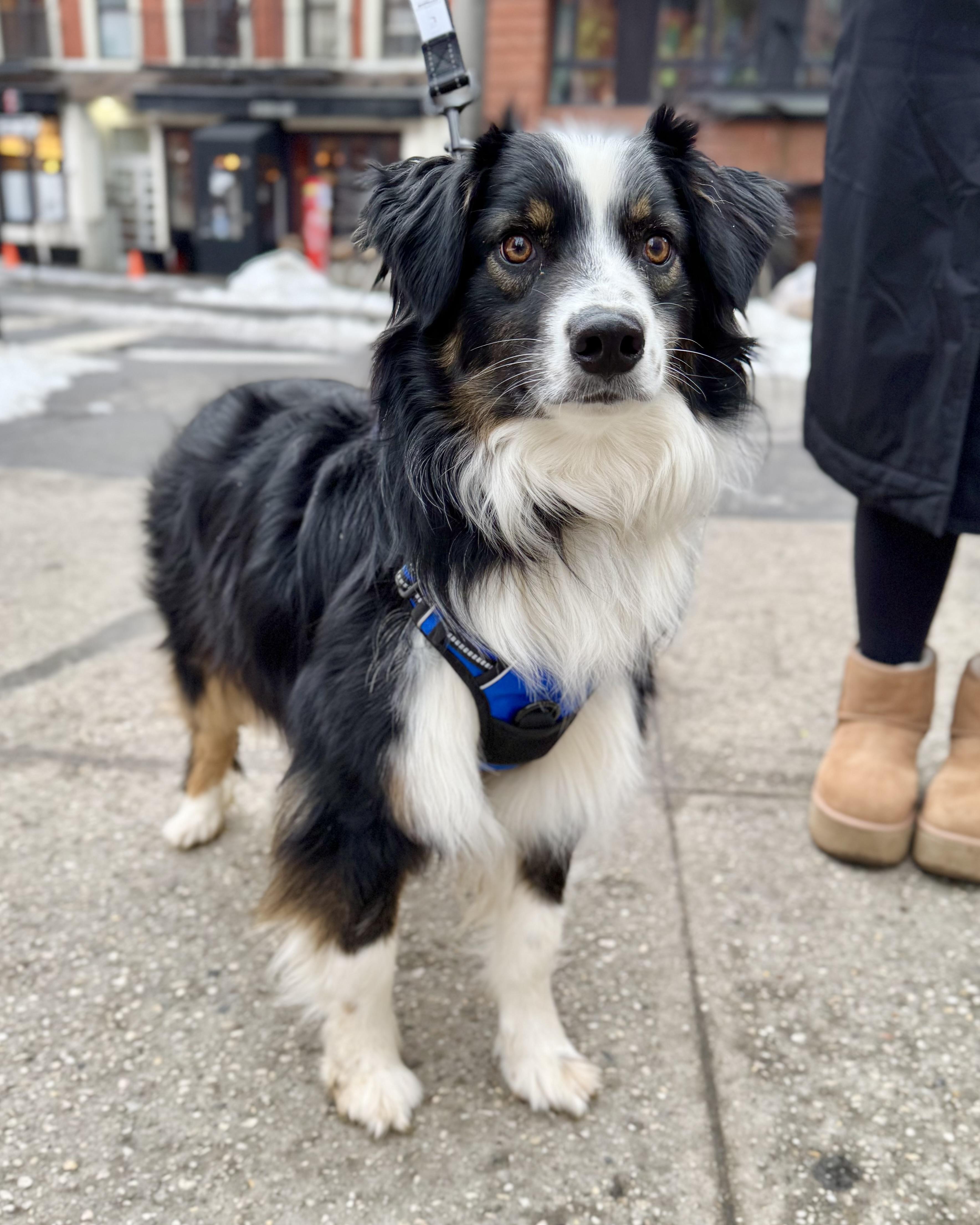 Great Barrier Reef — thumbnail 3