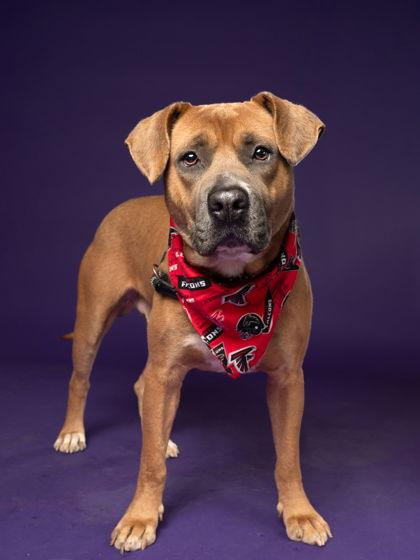 Jolly Boy Lizman thumbnail 3