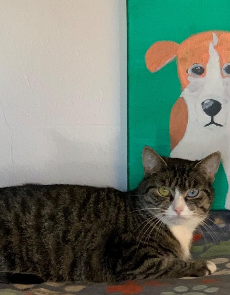 Blue — thumbnail 3