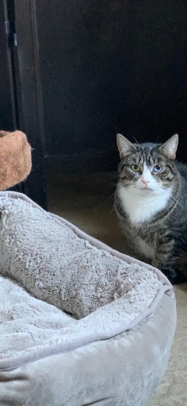 Blue — thumbnail 4