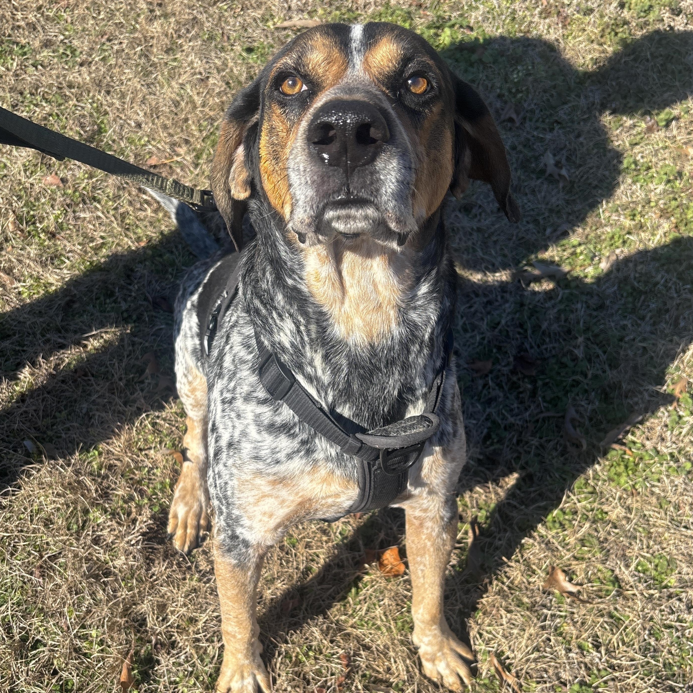 Cash — thumbnail 3