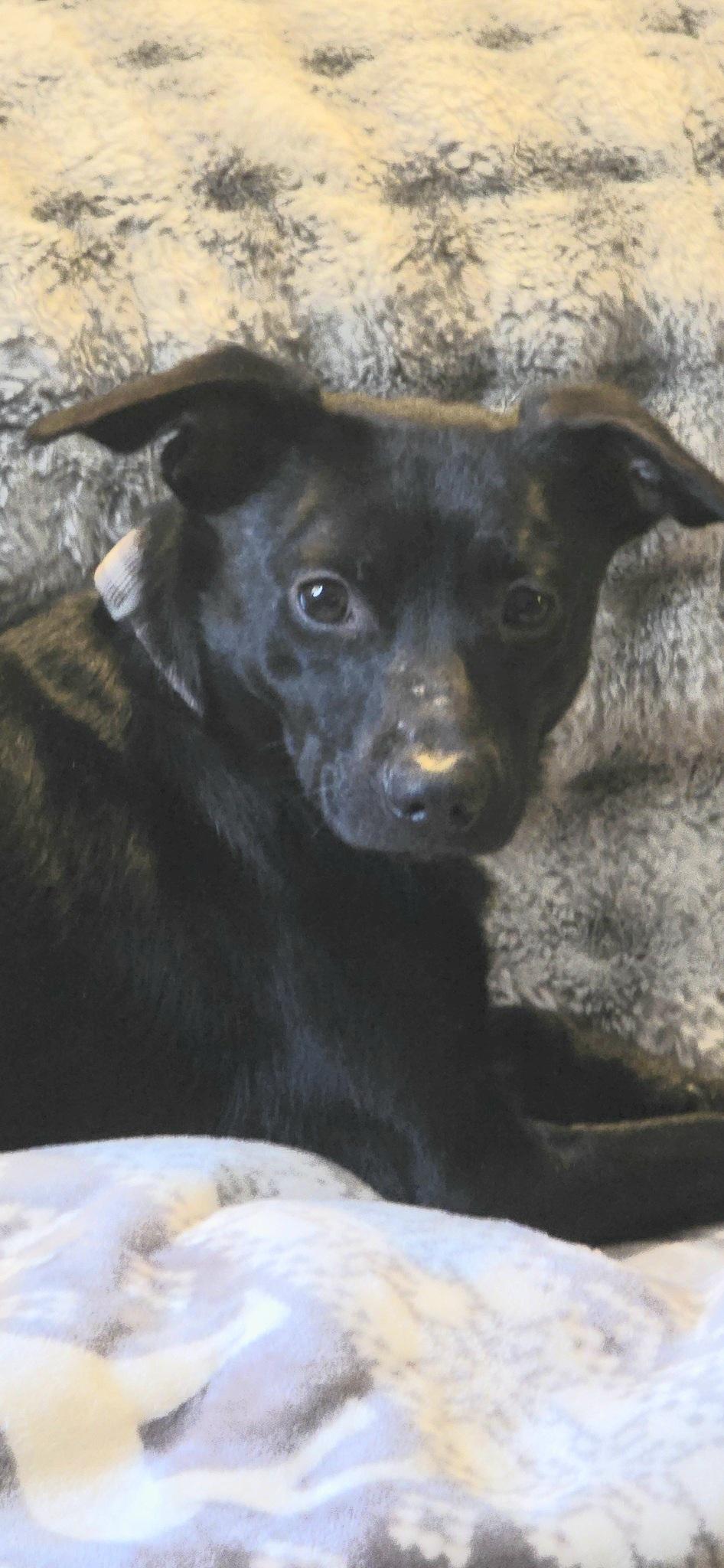 Jack Jack photo 1