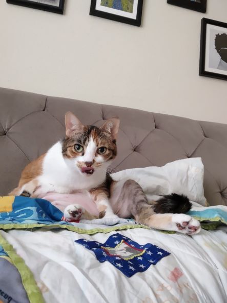 Hanna — thumbnail 4