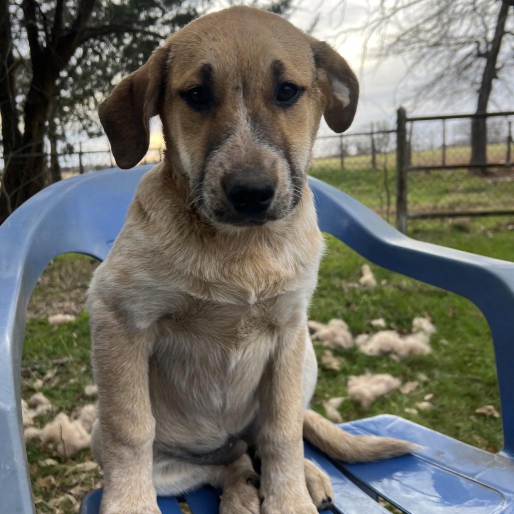 Princess Priya thumbnail 6