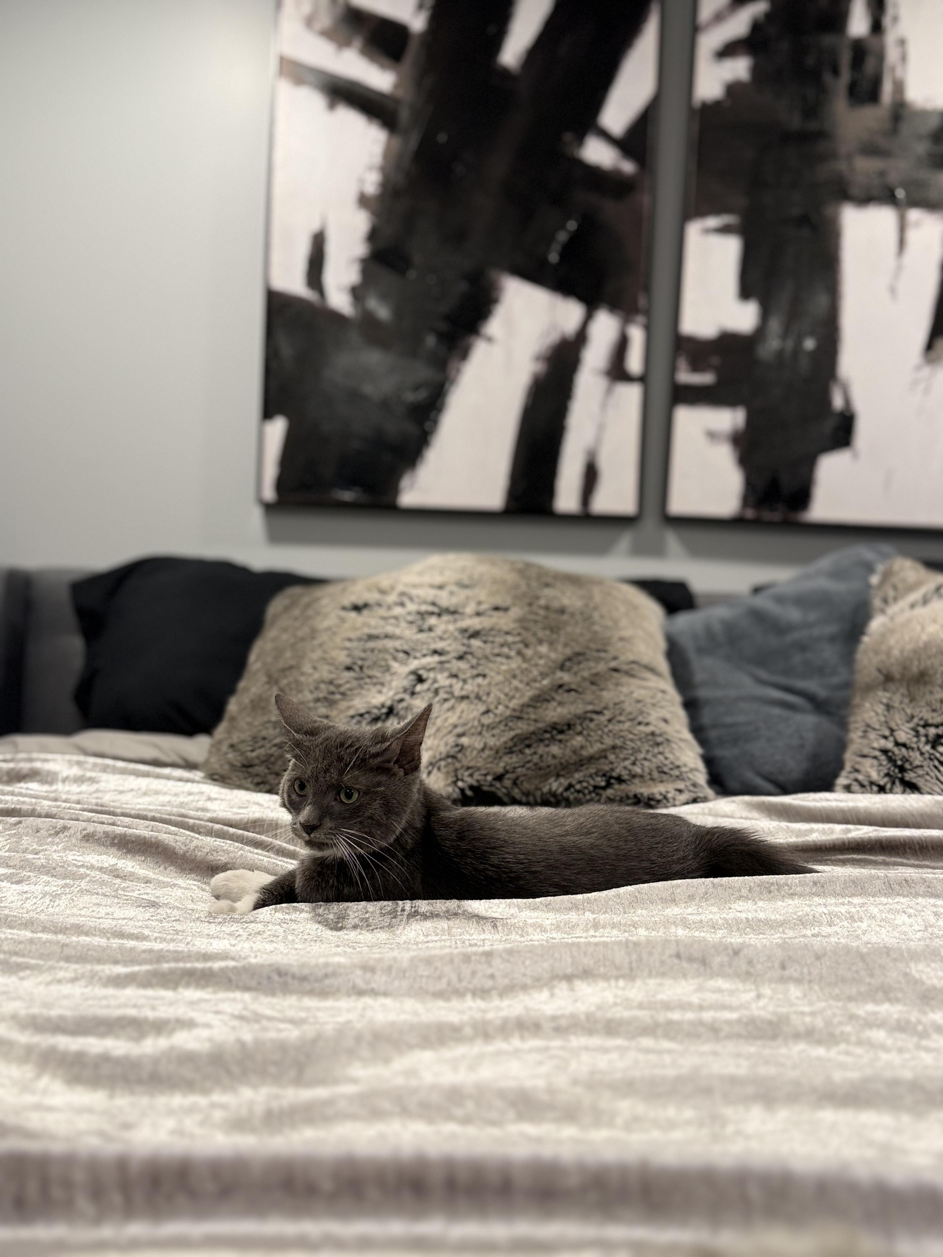 Tinka photo 2