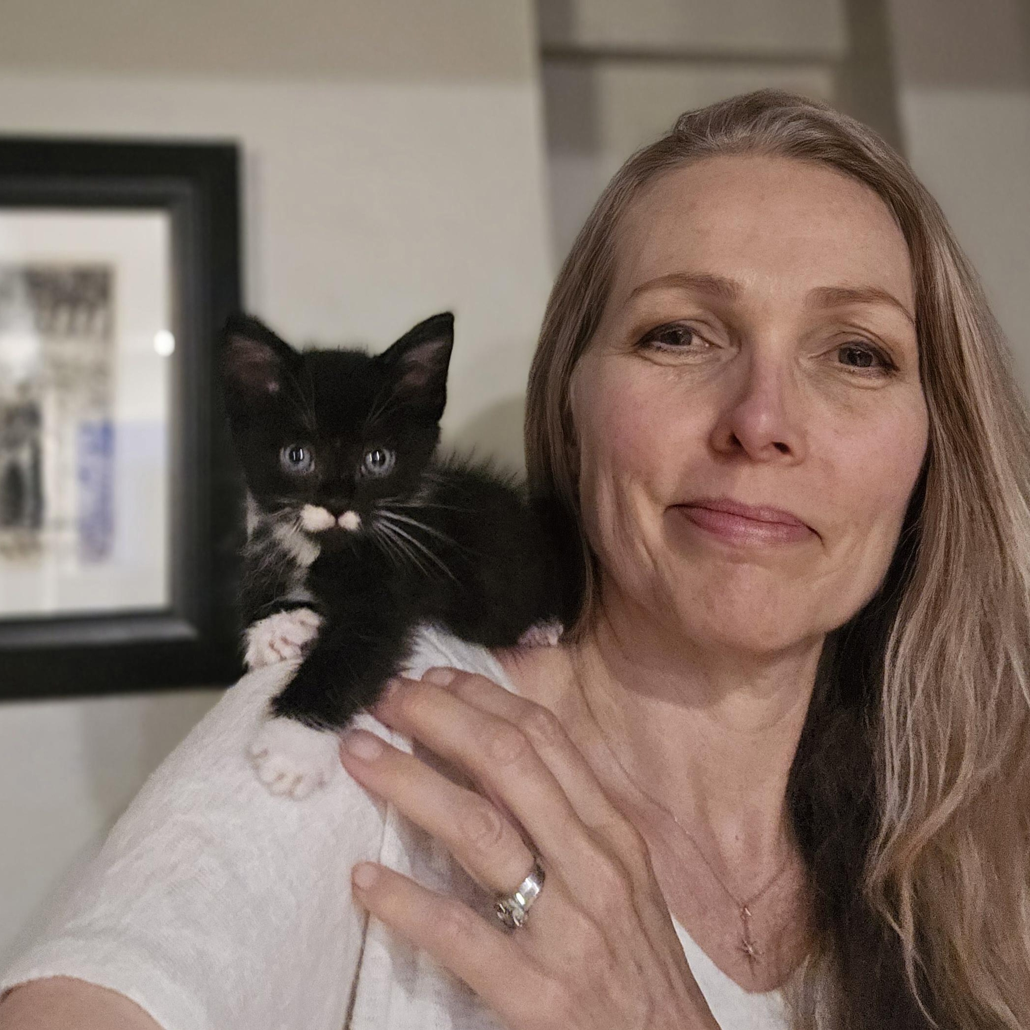 Enlarge Keaton, a Adopted mixed breed in North Hollywood, CA image 2/4