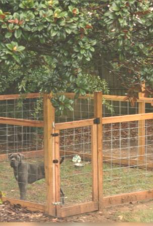 Enlarge Keiko, a Adoptable Cane Corso in Gadsden, AL image 2/2