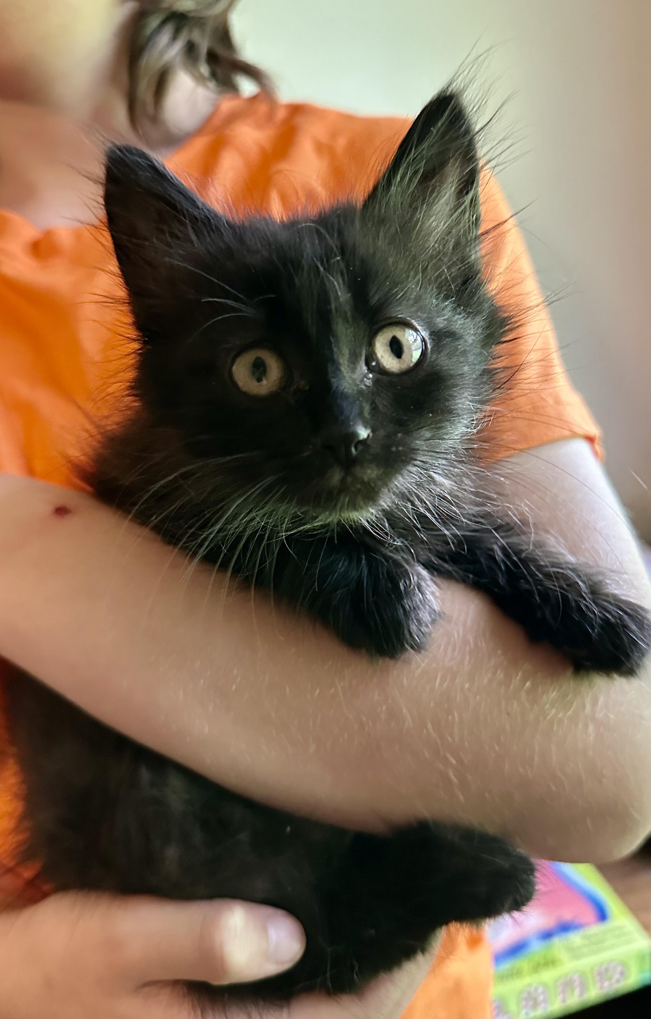 Binx