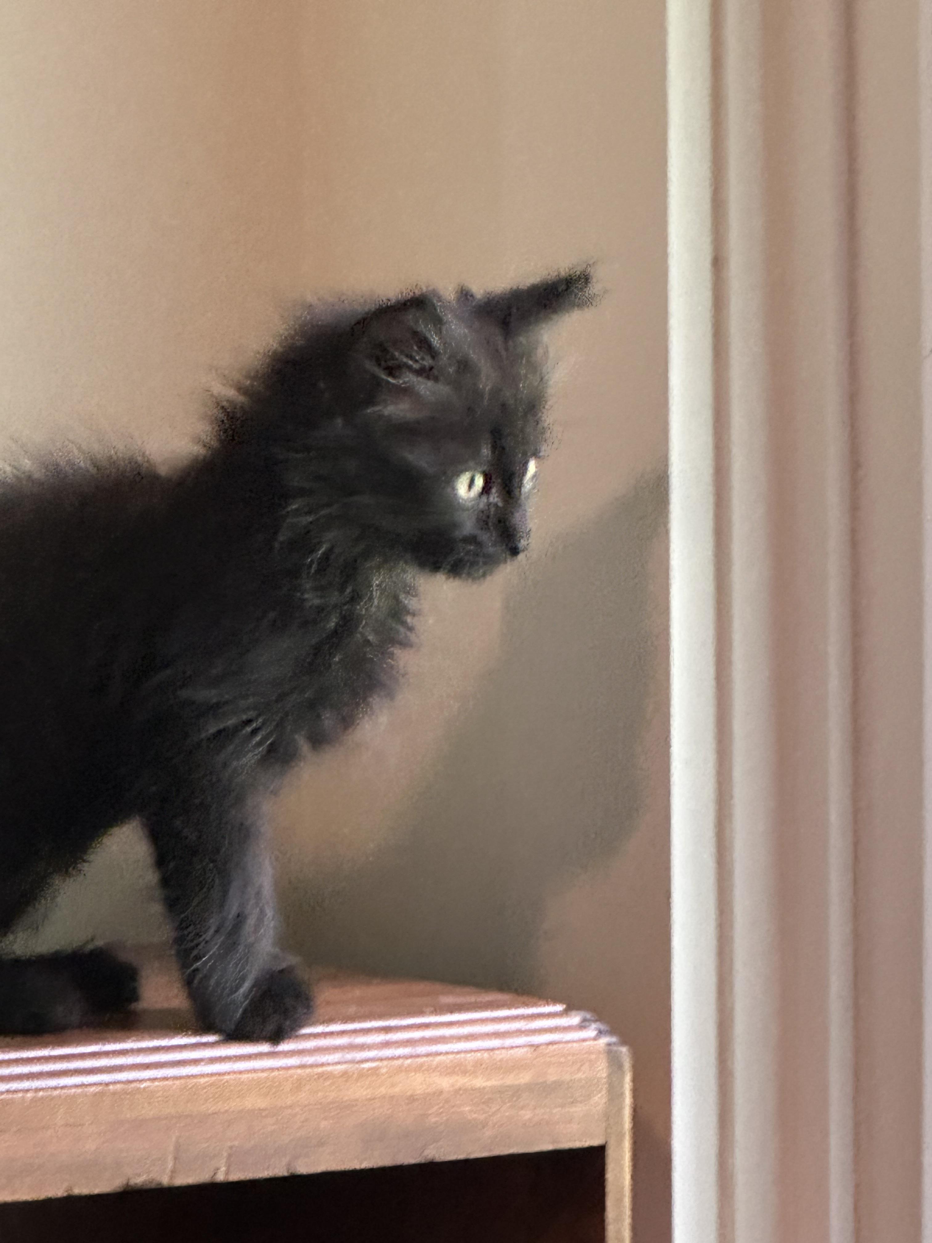 Binx