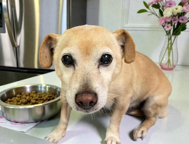 Bella — thumbnail 3