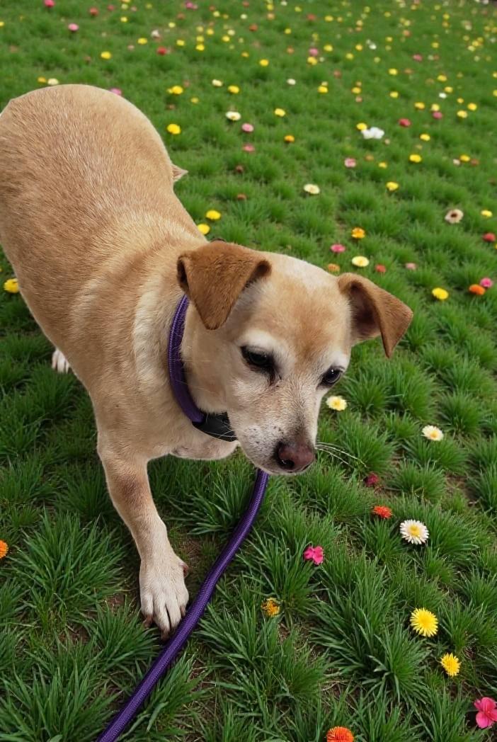 Bella — thumbnail 6