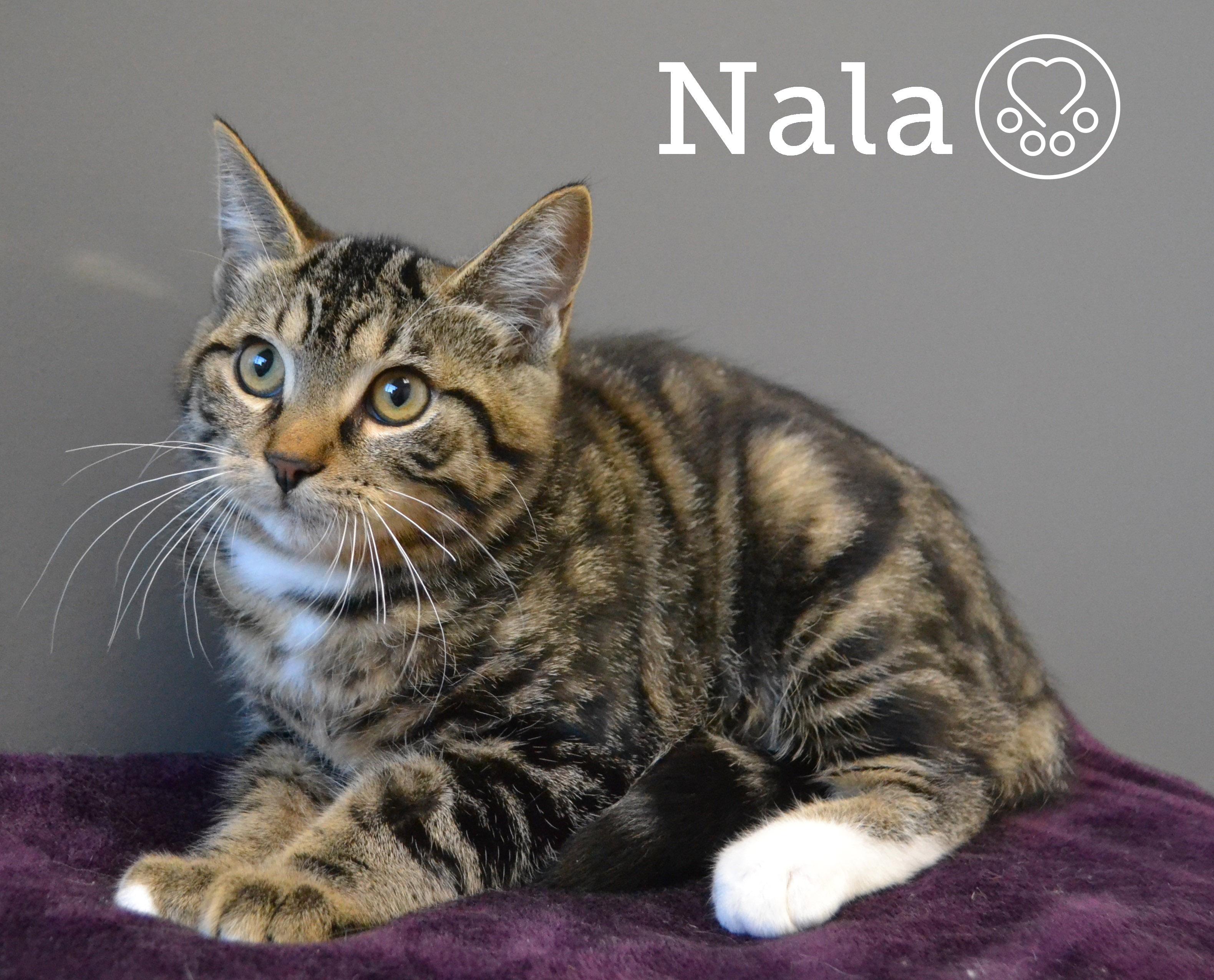 Nala