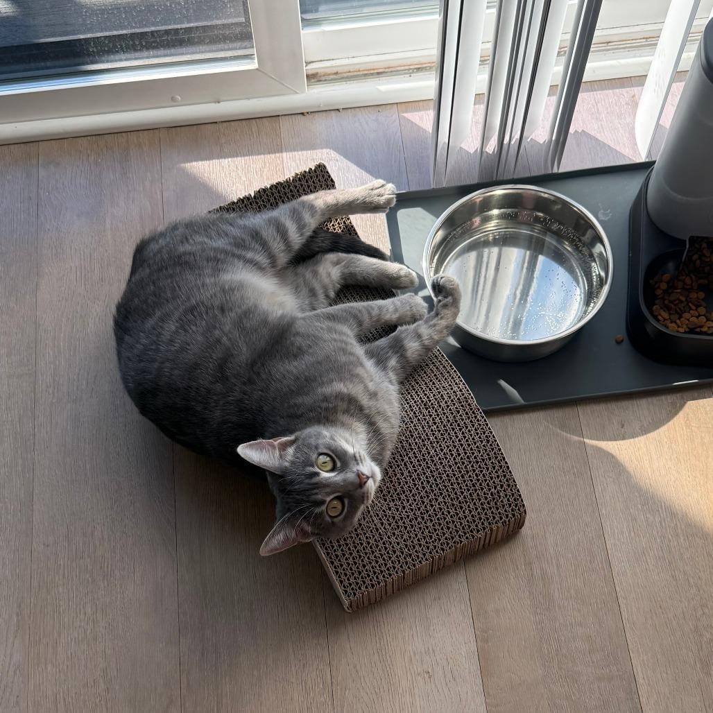 Sophie — thumbnail 5