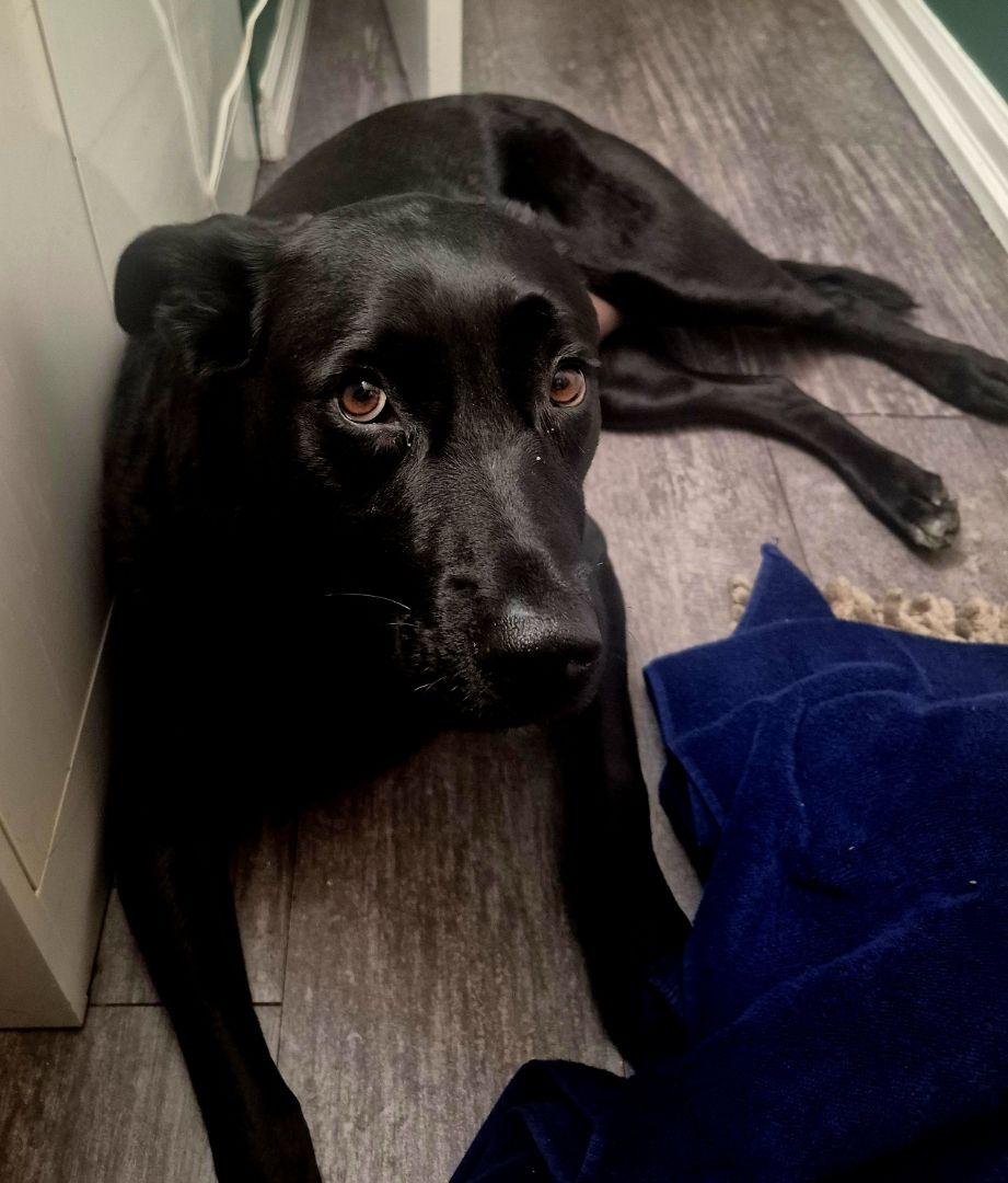 Frannie (20231109-01) — thumbnail 5