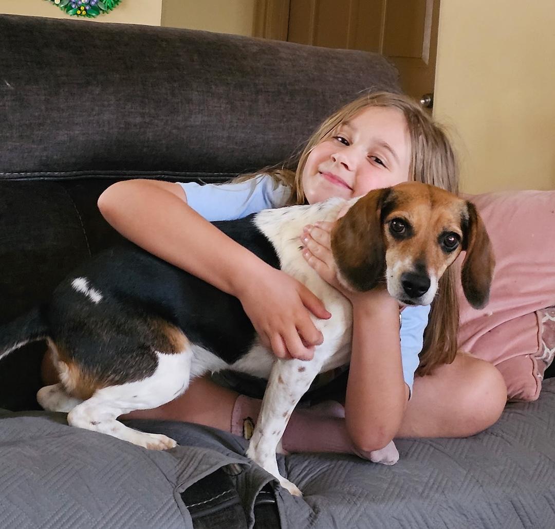 Daisy Mae, a ADOPTABLE Beagle in Tomball, TX image 5/6