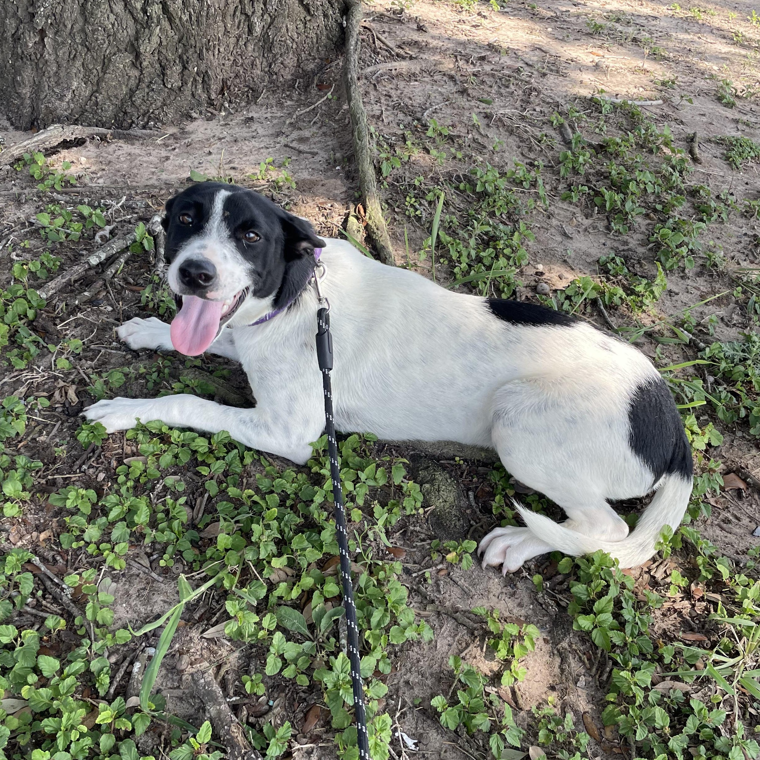 Milly — thumbnail 2